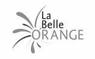 Logo d’un partenaire de la Compagnie NAO